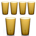 Herobuddy™ Clear Frosted Drinking Glasses,Reusable Drinking Cups, Large Capacity Beverages Cups,Amber Cold - Reusable Stainless Steel Cup